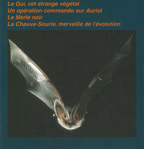 n°10