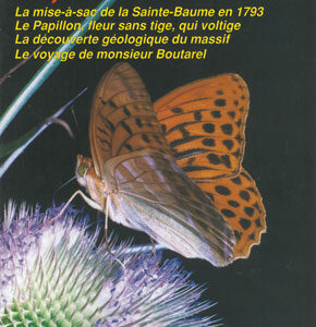 n°11