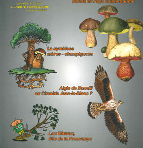 n°17