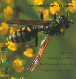 n°25