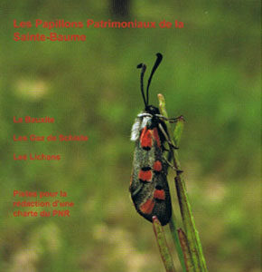 n°27