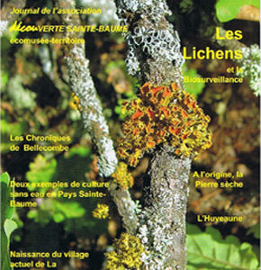 n°28