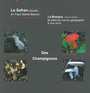 n°38