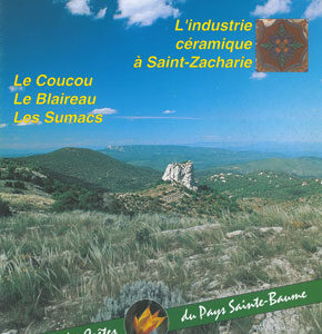 n°7