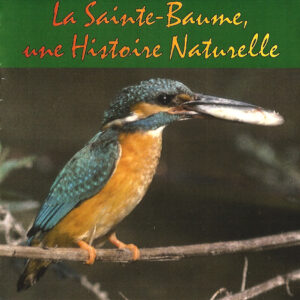 La Sainte Baume, une histoire naturelle (DVD)