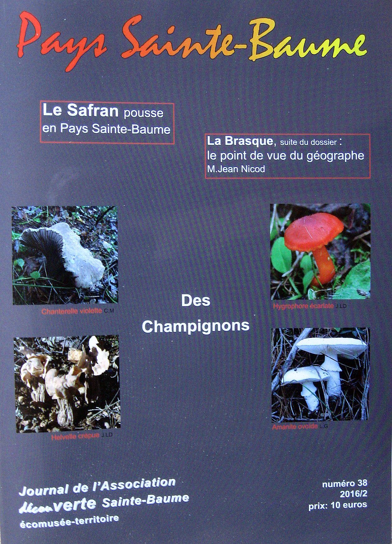 Sortie champignons aux Cuillerets Découverte SainteBaume